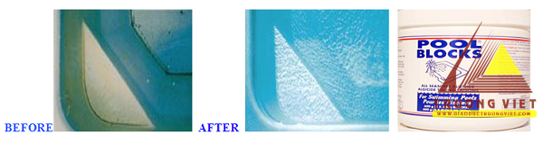 dung dịch ứng chế rêu tảo