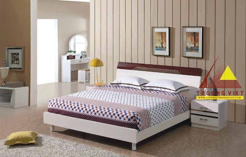 Giường ngủ nhập khẩu NG011