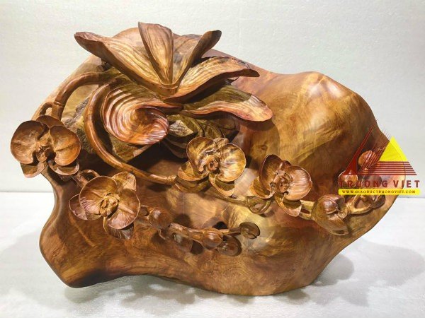 Hoa phong lan gỗ hương