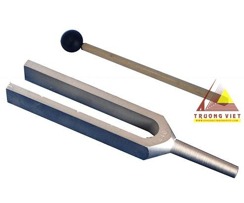 Âm thoa và búa cao su