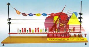 Mô hình tổng hợp phân tử Protein