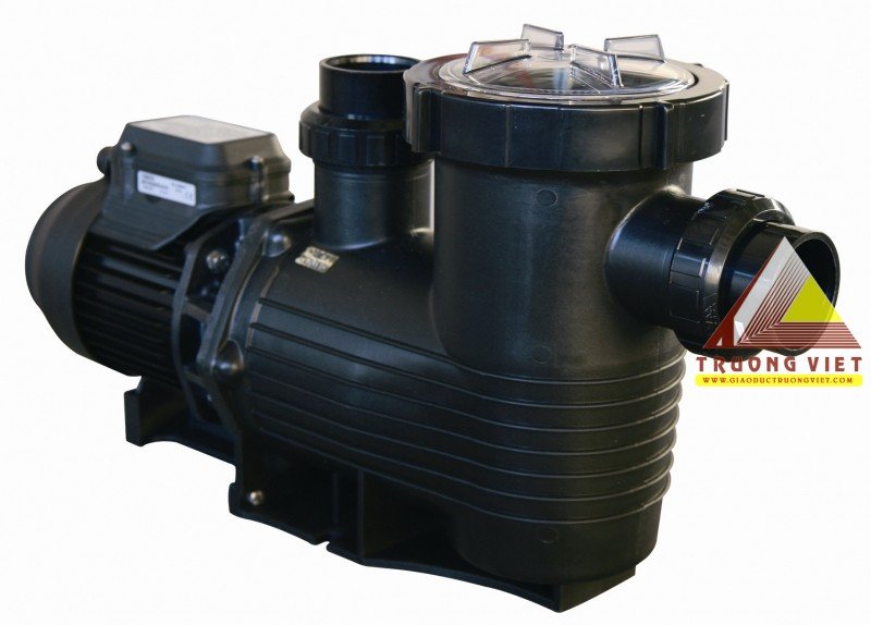 Máy bơm bể bơi Davey